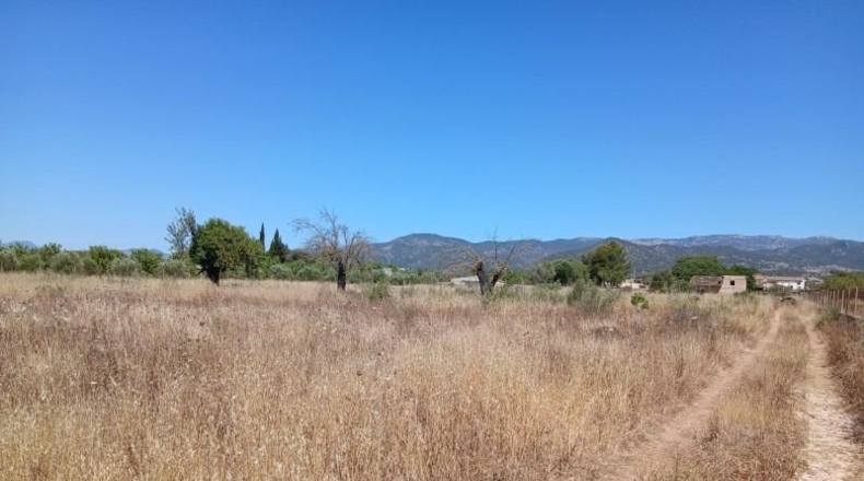 Balearic Islands - Consell - 9694m2