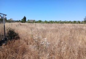 Consell 9694&nbsp;m²