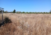 Finca rústica en venta en la España, Consell, ref: TR415952 foto