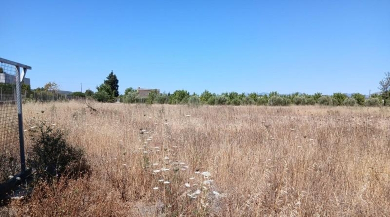 Balearic Islands - Consell - 9694m2