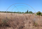 Finca rústica en venta en la España, Consell, ref: TR415952 foto