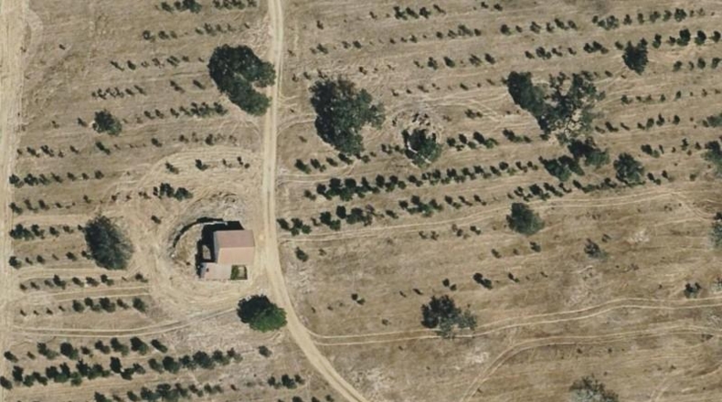 Huelva - Alosno - 230000m2