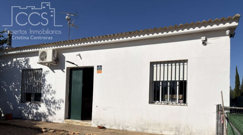 Seville - Pilas - 15324m2