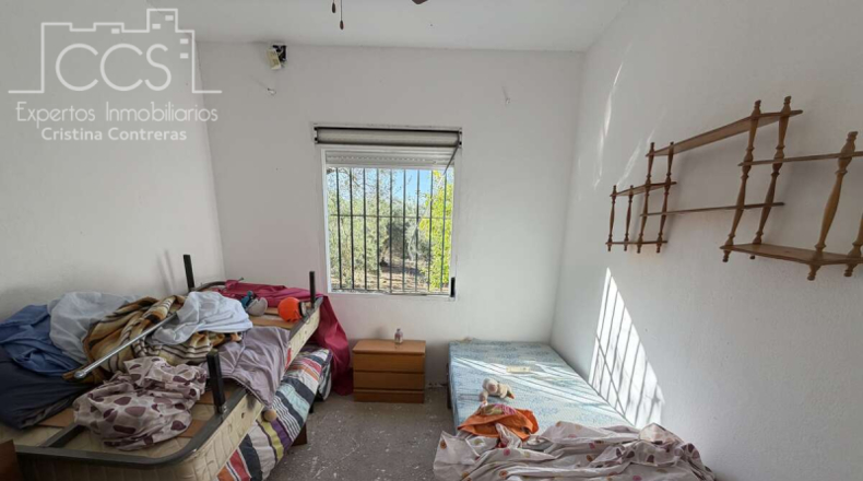 Seville - Pilas - 15324m2