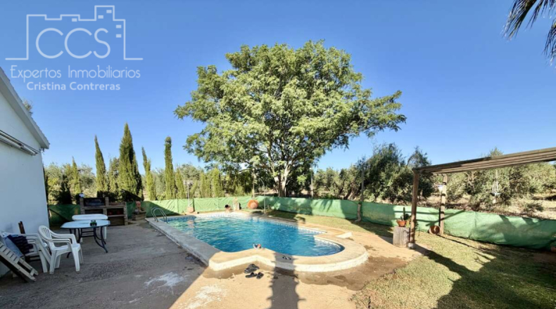 Seville - Pilas - 15324m2