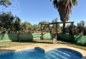 Chalet independiente con terreno en venta en la España, Pilas, ref: TR415974 foto