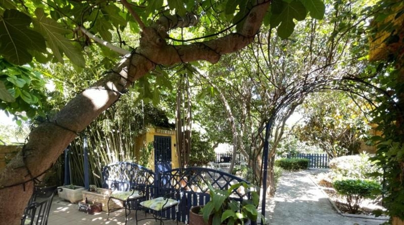 Community of Madrid - Чинчон - 1034m2