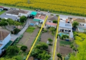 Chalet independiente con terreno en venta en la España, Arcos de la Frontera, ref: TR415982 foto