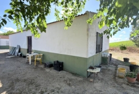 Foto 16