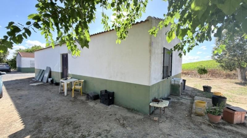 Huelva - Huelva - 20583m2