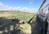 Chalet independiente con terreno en venta en la España, Huelva, ref: TR411320 foto