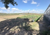 Chalet independiente con terreno en venta en la España, Huelva, ref: TR411320 foto