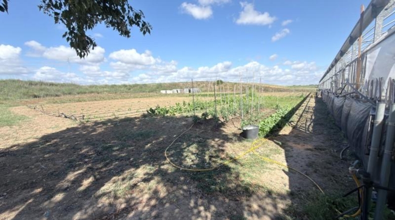 Huelva - Huelva - 20583m2