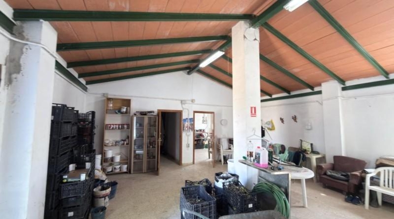 Huelva - Huelva - 20583m2