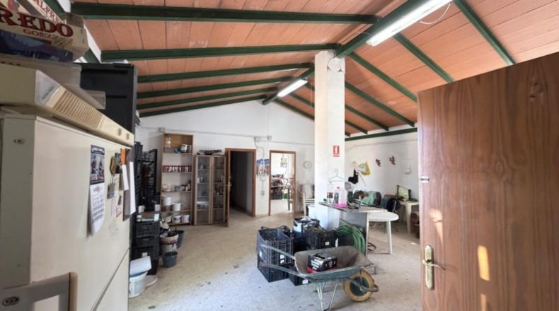 Huelva - Huelva - 20583m2