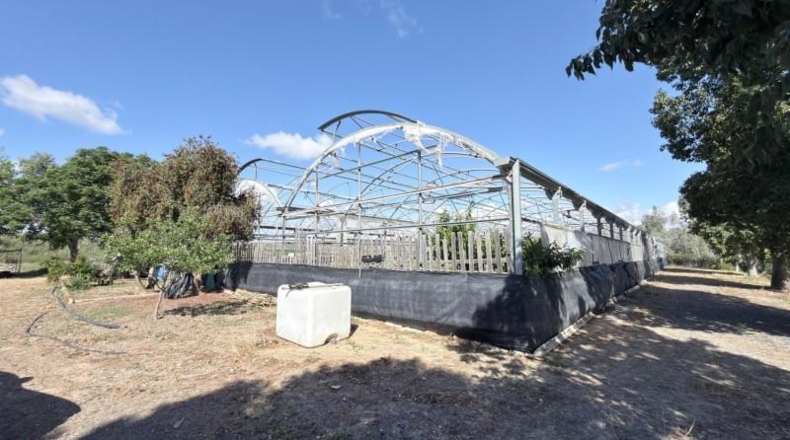 Huelva - Huelva - 20583m2