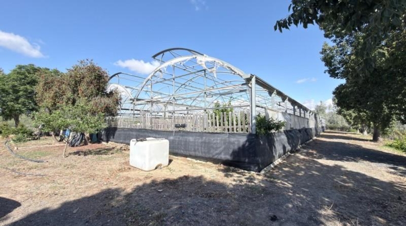 Huelva - Huelva - 20583m2