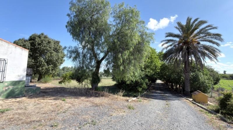 Huelva - Huelva - 20583m2