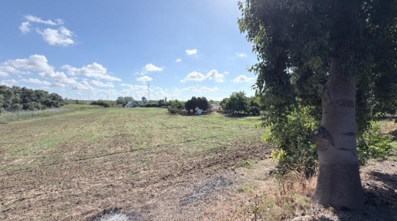 Huelva - Huelva - 20583m2