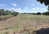 Chalet independiente con terreno en venta en la España, Huelva, ref: TR411320 foto