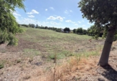 Chalet independiente con terreno en venta en la España, Huelva, ref: TR411320 foto
