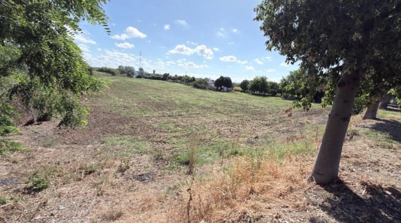 Huelva - Huelva - 20583m2