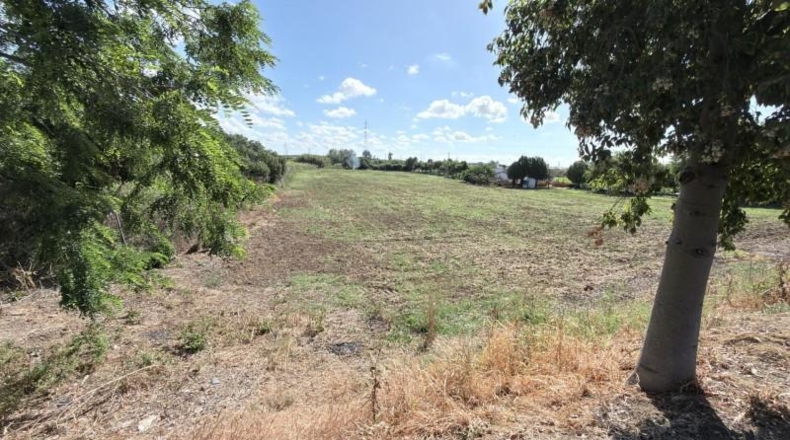 Huelva - Huelva - 20583m2