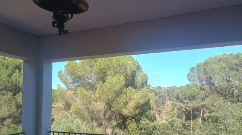 Huelva - Valverde del Camino - 1825m2