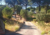Chalet independiente con terreno en venta en la España, Valverde del Camino, ref: TR415984 foto