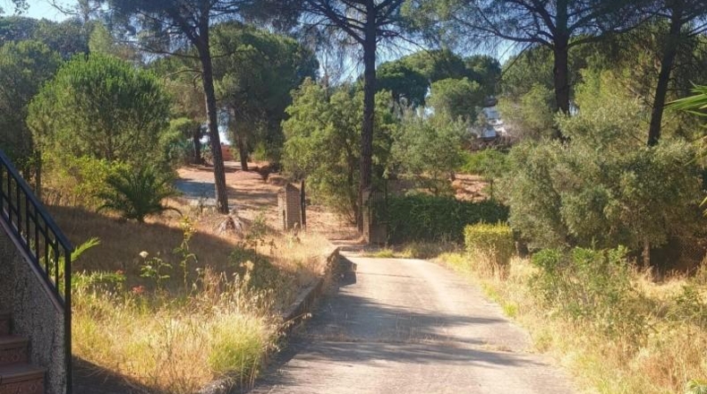 Huelva - Valverde del Camino - 1825m2