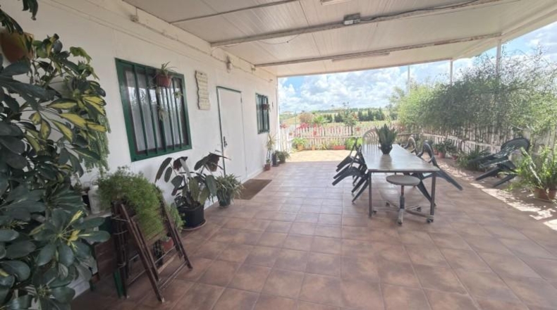 Huelva - San Juan del Puerto - 24092m2