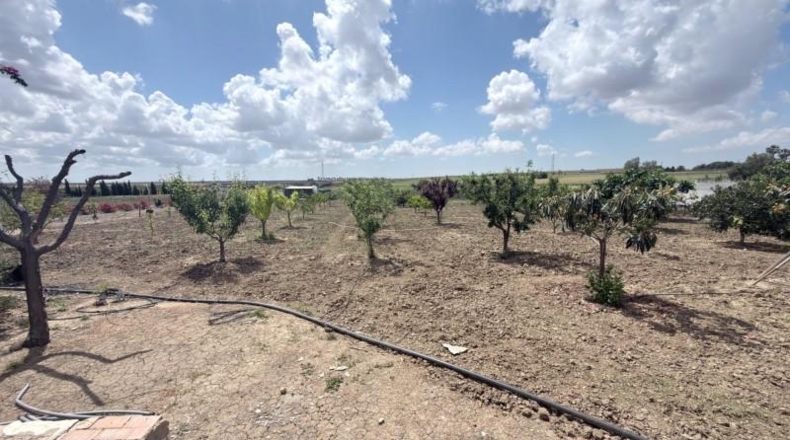 Huelva - San Juan del Puerto - 24092m2