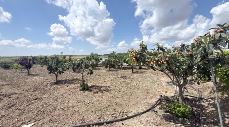 Huelva - San Juan del Puerto - 24092m2