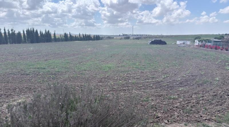 Huelva - San Juan del Puerto - 24092m2