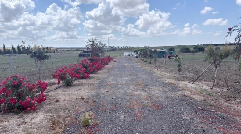Huelva - San Juan del Puerto - 24092m2