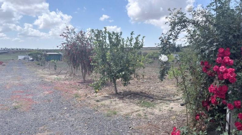 Huelva - San Juan del Puerto - 24092m2