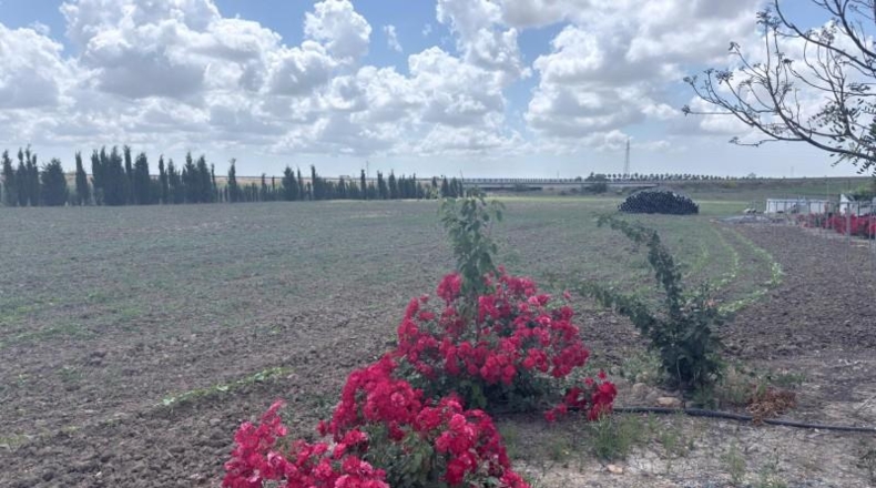 Huelva - San Juan del Puerto - 24092m2