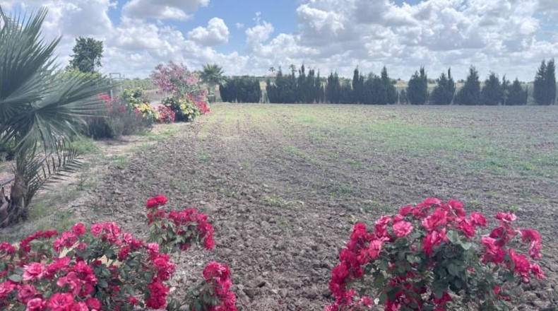 Huelva - San Juan del Puerto - 24092m2