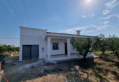 Chalet independiente con terreno en venta en la España, Vinaròs, ref: TR415994 foto