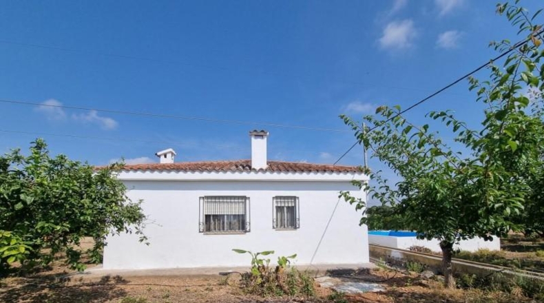 Castellon - Vinaròs - 11310m2