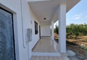 Chalet independiente con terreno en venta en la España, Vinaròs, ref: TR415994 foto