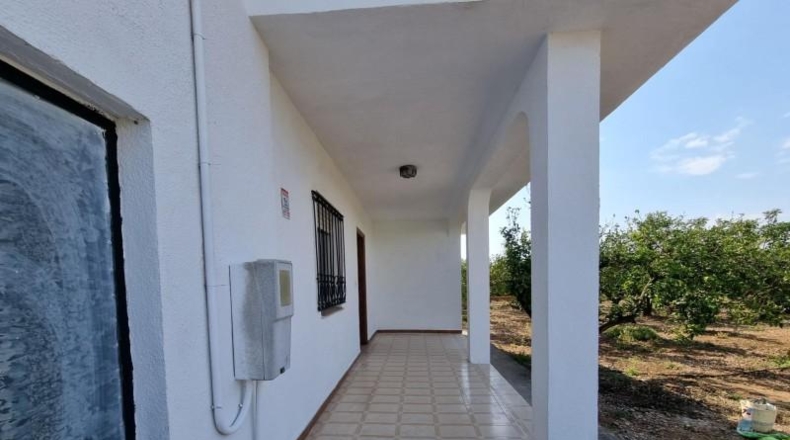 Castellon - Vinaròs - 11310m2