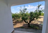 Chalet independiente con terreno en venta en la España, Vinaròs, ref: TR415994 foto