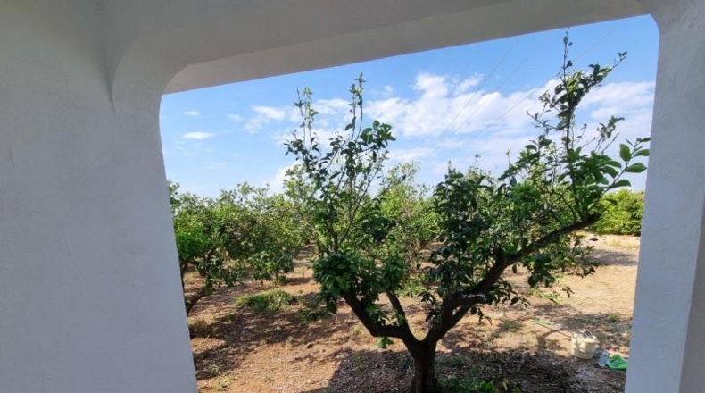 Castellon - Vinaròs - 11310m2