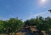 Chalet independiente con terreno en venta en la España, Vinaròs, ref: TR415994 foto