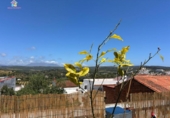 Casa de pueblo en venta en la España, San Roque, ref: TR135664 foto