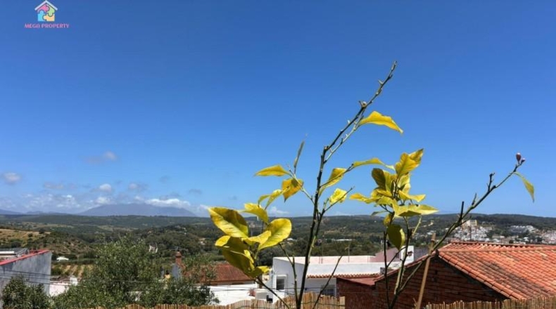 Cádiz - San Roque - 130000m2