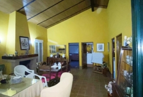 Foto 19