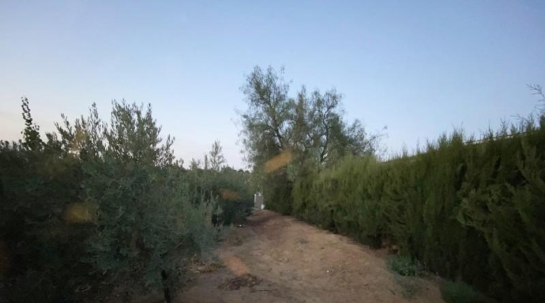 Huelva - Villalba del Alcor - 4152m2