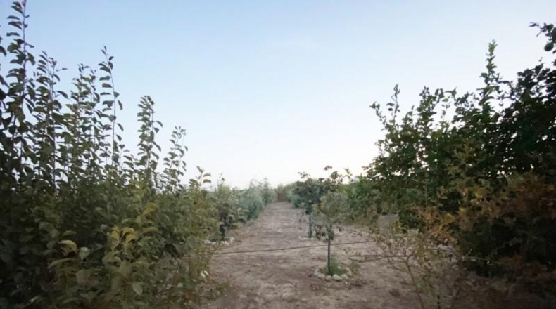 Huelva - Villalba del Alcor - 4152m2